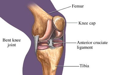 ACL Reconstruction